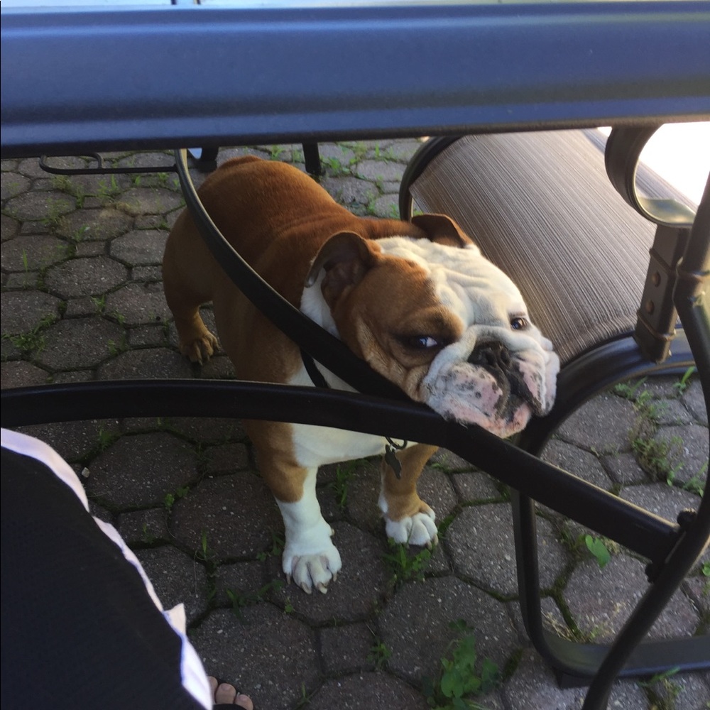 Meet your Posher, Jonathan